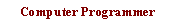 Text Box: Computer Programmer