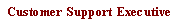 Text Box: Customer Support Executive
